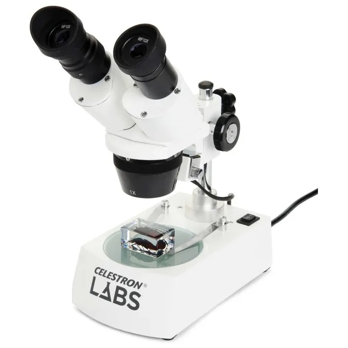 Vetrini Preparati per Microscopio Kit 100 Pezzi - Negozio Microscopi